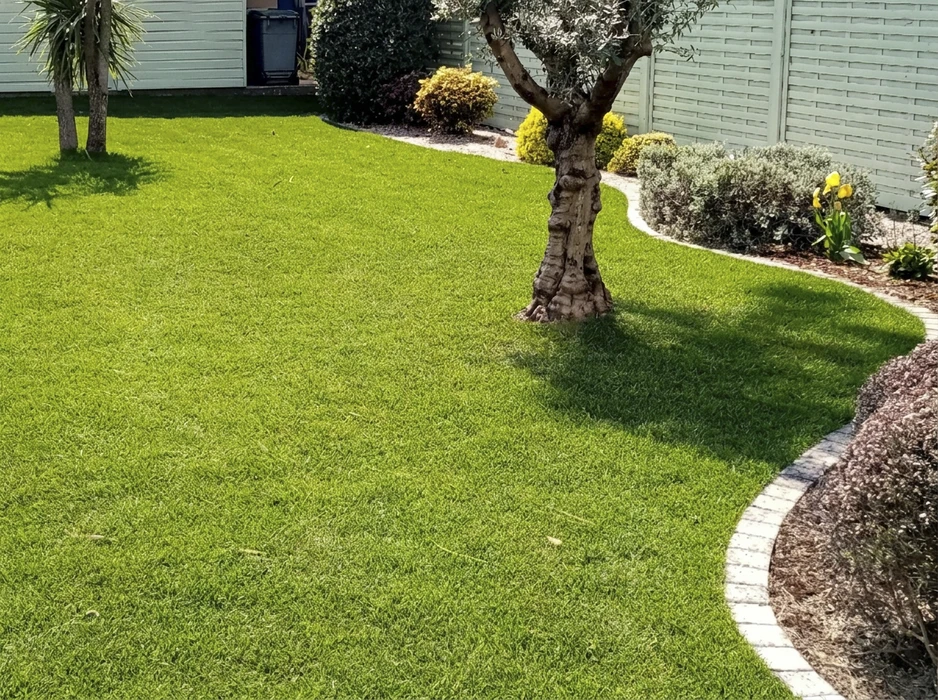 Jardin résidentiel soigné, extérieur ensoleillé