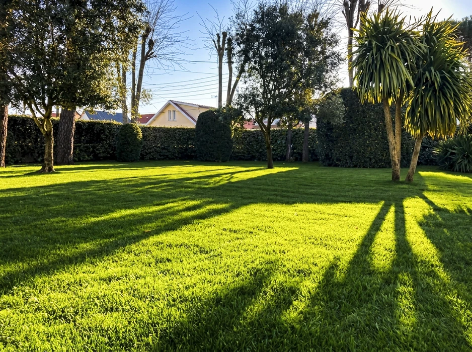 Jardin paysager ext&eacute;rieur avec pelouse verte parfaitement entretenue, haies taill&eacute;es g&eacute;om&eacute;triques, conif&egrave;res bleus ornementaux, massifs floraux color&eacute;s et arbustes vari&eacute;s sous ciel nuageux