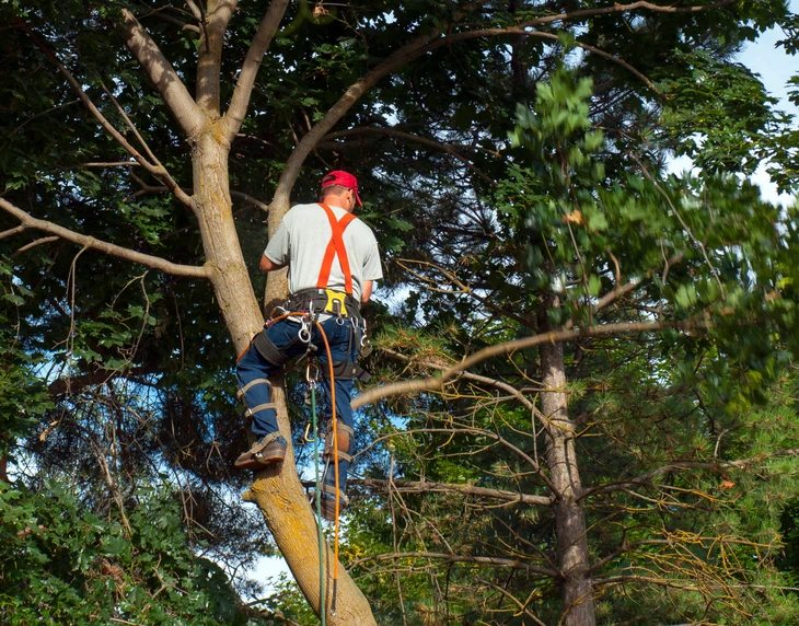 Chantier ext&eacute;rieur d'am&eacute;nagement paysager avec excavatrice compacte jaune positionn&eacute;e sur dalle b&eacute;ton